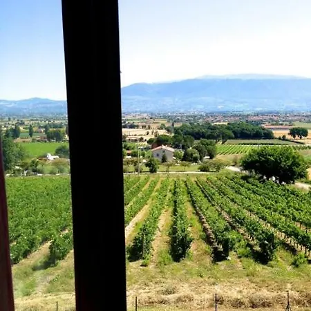 La Soleggiata Bevagna