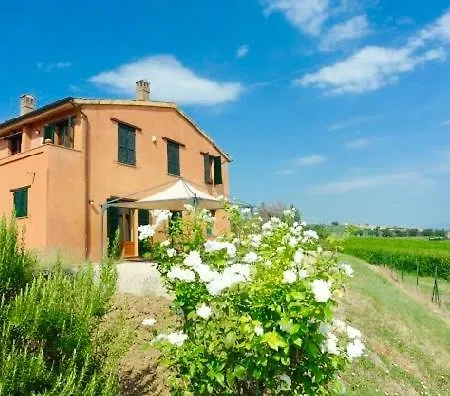 La Soleggiata
